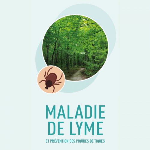 Maladie de Lyme