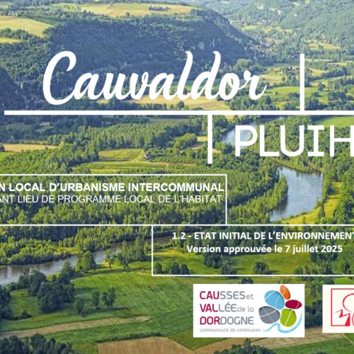 PLUI-H